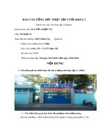 Báo cáo tổng kết thực tập cuối khóa (Dành cho sinh viên thực tập Sư phạm)