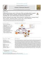 Inflammatory breast cancer: Activation of the aryl hydrocarbon receptor and its target CYP1B1 correlates closely with Wnt5a/b-b-catenin signalling, the stem cell phenotype and disease