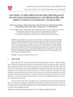 Tạo dòng và biểu hiện gen mã hóa protein P65 từ Mycoplasma Hyopneumoniae gây bệnh suyễn lợn trong vi khuẩn Escherichia Coli BL21 (DE3)
