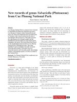 New records of genus Volvariella (Pluteaceae) from Cuc Phuong National Park