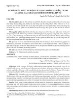 Nghiên cứu thực nghiệm tác dụng kháng khuẩn, trị ho và long đàm của cao chiết cồn từ lá tía tô