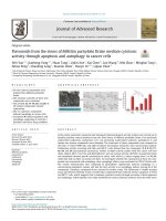Flavonoids from the stems of Millettia pachyloba Drake mediate cytotoxic activity through apoptosis and autophagy in cancer cells