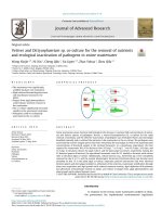 Vetiver and Dictyosphaerium sp. co-culture for the removal of nutrients and ecological inactivation of pathogens in swine wastewater