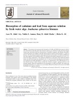 Biosorption of cadmium and lead from aqueous solution by fresh water alga Anabaena sphaerica biomass