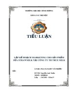 Tiểu luận: Lập kế hoạch marketing cho sản phẩm sữa strawmilk tại công ty TH True Milk