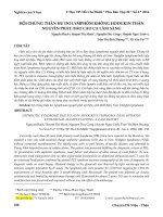 Hội chứng thận hư do Lymphôm không Hodgkin thận nguyên phát: Báo cáo ca lâm sàng