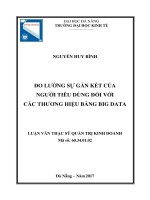 Tóm tắt luận văn Thạc sĩ Quản trị kinh doanh: Đo lường sự gắn kết của người tiêu dùng đối với các thương hiệu bằng Big Data