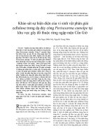 Khảo sát sự hiện diện của vi sinh vật phân giải cellulose trong dạ dày còng Perisesarma eumolpe tại khu vực gãy đổ thuộc rừng ngập mặn Cần Giờ