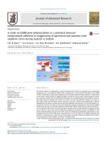 A study on IL8RB gene polymorphism as a potential immunocompromised adherent in exaggeration of parenteral and mammo-crine oxidative stress during mastitis in buffalo