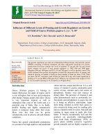 Influence of different levels of pruning and growth regulators on growth and yield of guava (Psidium guajava L.) cv. ‘L-49’