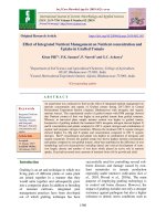 Effect of integrated nutrient management on nutrient concentration and uptake in grafted tomato