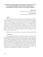 Indigenous knowledge of traditional medicine and local development in Myanmar: The case of Calotropis Gigantea R. BR. in Ayeyarwady region