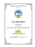 Bài tập nhóm: Tìm hiểu về Tổng công ty Hàng không Việt Nam-CTCP