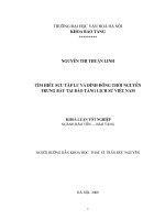 Tóm tắt Khóa luận tốt nghiệp khoa Bảo tàng học: Tìm hiểu sưu tập lư và đỉnh đồng thời Nguyễn trưng bày tại bảo tàng lịch sử Việt Nam