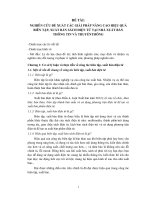 Đề tài: Nghiên cứu đề xuất các giải pháp nâng cao hiệu quả biên tập, xuất bản sách điện tử tại nhà xuất bản Thông tin và Truyền thông