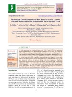 Physiological growth parameters of Rabi rice (Oryza sativa L.) under alternate wetting and drying irrigation with varied nitrogen levels