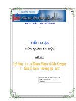 Tiểu luận: Lý thuyết Elton Mayo và Mc Gregor về tâm lý xã hội trong quản trị