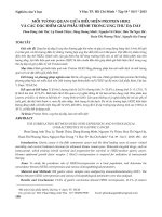 Mối tương quan giữa biểu hiện protein HER2 và các đặc điểm giải phẫu bệnh trong ung thư dạ dày