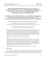 Hoạt tính kháng vi khuẩn vibrio parahaemolyticus gây bệnh hoại tử gan tụy cấp trên tôm chân trắng (litopenaeus vannamei) của cây chó đẻ thân xanh (phyllanthus amarus) và chế phẩm EM5