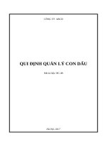 Quy định quản lý con dấu 