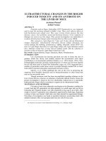 Ultrastructural changes in the rogor induced toxicity and its antidote on the liver of mice