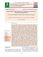 Bacteriological profile of urinary tract infection at a Tertiary care Hospital in Kalaburagi, India