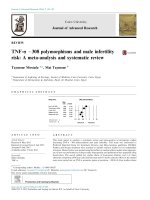 TNF-a 308 polymorphisms and male infertility risk: A meta-analysis and systematic review