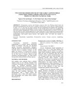 Two new recorded species of the family Leptonchidae (Nematoda: Dorylaimida) for Vietnam’s fauna from Cuc Phuong national park