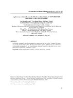 Aglaonema costatum f. concolor Nicolson (araceae): A new record for the flora of Vietnam