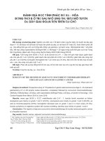 Đánh giá độc tính phác đồ xạ - hóa đồng thời bổ trợ sau mổ ung thư biểu mô tuyến dạ dày giai đoạn tiến triển tại chỗ