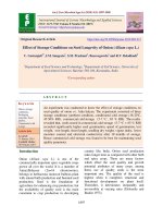 Effect of storage conditions on seed longevity of onion (Allium cepa L.)