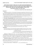 Phân tích chi phí – hiệu quả của Bevacizumab phối hợp với Carboplatin paclitaxel so với Paclitaxel carboplatin trong điều trị ung thư phổi không tế bào nhỏ giai đoạn muộn tại Việt Nam