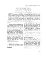 Tối ưu hóa điều kiện nuôi cấy cho vi khuẩn Acetobacter xylinum D9