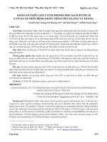 Khảo sát kiểu gen Cytochrome P450 3A4 Subtype 1B (CYP3A4*1B) trên bệnh nhân viêm loét dạ dày tá tràng