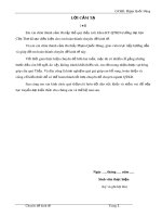 Chuyên đề kinh tế: Du lịch Đồng Tháp cơ hội và thách thức