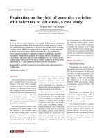 Evaluation on the yield of some rice varieties with tolerance to salt stress, a case study