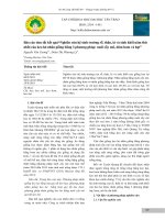 Báo cáo tóm tắt kết quả “Nghiên cứu hệ sinh trưởng rễ, thân, lá và sinh khối năm thứ nhất của keo lai nhân giống bằng 3 phương pháp: nuôi cấy mô, dâm hom và hạt”