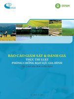Báo cáo Giám sát và đánh giá thực thi Luật Phòng chống bạo lực gia đình (tại 2 tỉnh Hòa Bình và Hà Nam)