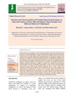 Detection and characterization of extended-spectrum β-lactamases in salmonella isolates of meat, milk and human clinical samples from different districts of Chhattisgarh