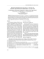 Bổ sung loài Radermachera microcalyx C. Y. Wu & W. Yin (Họ đinh - Bignoniaceae) cho hệ thực vật Việt Nam