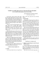 Nghiên cứu điều kiện nuôi cấy mô sẹo để thu sinh khối từ cây đơn nem (Maesa Balansae Mez.)