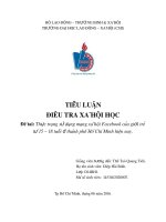 Tiểu luận Điều tra xã hội học: Thực trạng sử dụng mạng xã hội Facebook của giới trẻ từ 15-18 tuổi ở thành phố Hồ Chí Minh hiện nay