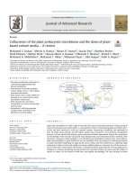 Culturomics of the plant prokaryotic microbiome and the dawn of plantbased culture media – A review