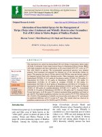 Alternation of insecticidal sprays for the management of thrips (Thrips tabaci Lindeman) and Whitefly (Bemisia tabaci Gennadius) pest of BT cotton in Malwa region of Madhya pradesh