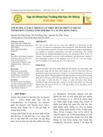 Ảnh hưởng của quá trình xử lý nhiệt đến độ nhớt và một số thành phần có hoạt tính sinh học của xương rồng Nopal