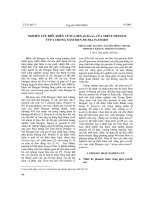 Nghiên cứu biểu hiện vùng gien preM-env của virút Dengue typ 2 trong nấm men Pichia Pastoris