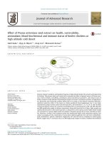 Effect of Prunus armeniaca seed extract on health, survivability, antioxidant, blood biochemical and immune status of broiler chickens at high altitude cold desert