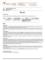 Báo giá dịch vụ 2019   phùng vĩnh hưng talenviet 