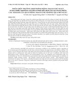 Nhân một trường hợp phình động mạch chủ ngực vùng 0 điều trị bằng giá đỡ có phủ kết hợp tái tạo toàn phần các nhánh của quai động mạch chủ không qua mở ngực