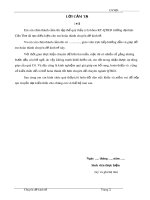 Chuyên đề kinh tế: Chiến lượt marketing của công ty cổ phần sữa Việt Nam (Vinamilk)